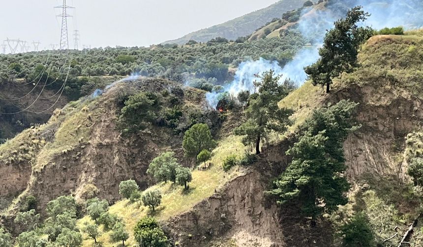 Aydın’da zirai alan yangını