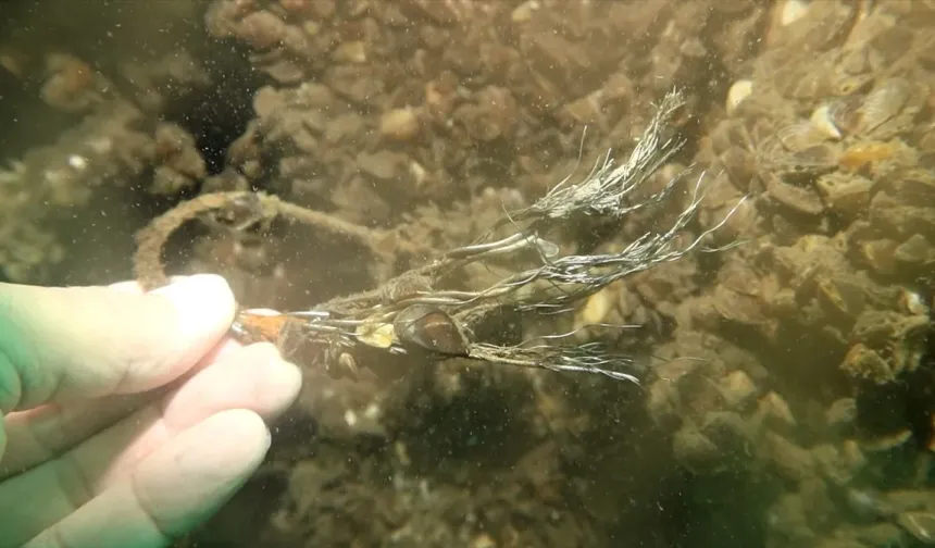 Sapanca Gölü'ne düşen keşif uçağının enkazı ilk kez görüntülendi