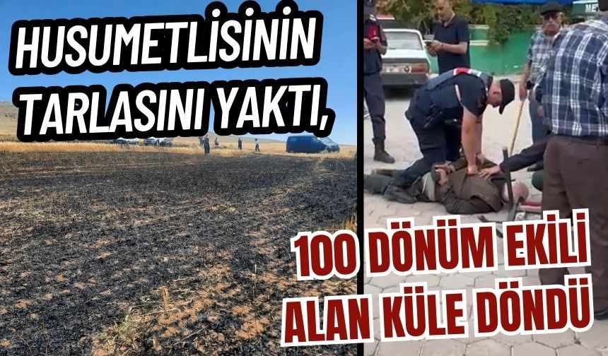 Husumetlisinin tarlasını yaktı, 100 dönüm ekili alan küle döndü