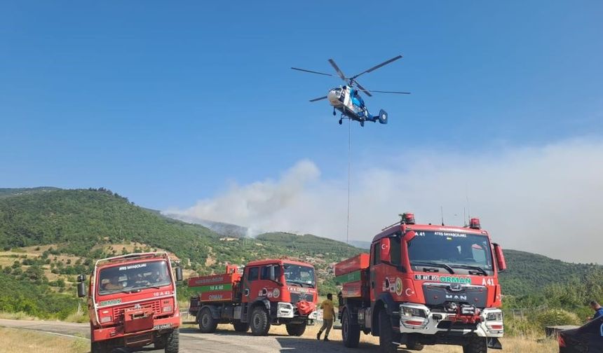 Balıkesir'de 11 orman ve arazi yangını meydana geldi