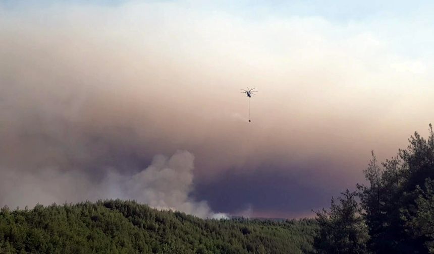 Sakarya’da ormanlık alanda çıkan yangına havadan ve karadan müdahale sürüyor