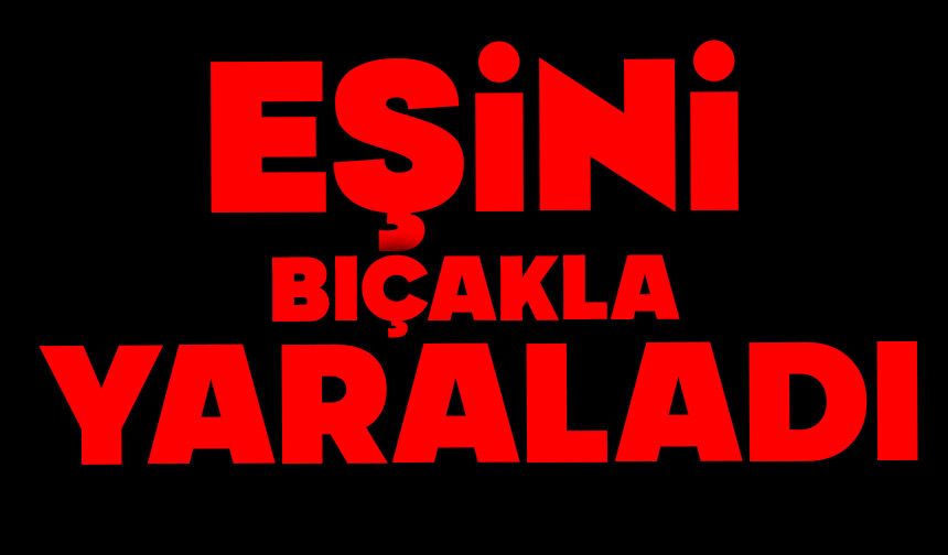 Eşini bıçakla yaraladı
