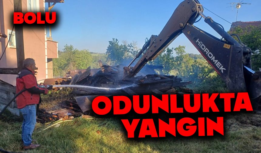 Bolu'da odunluk yangını