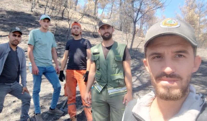 Ormanlar yeniden doğuyor: Geyve'de fidan mesaisi başladı