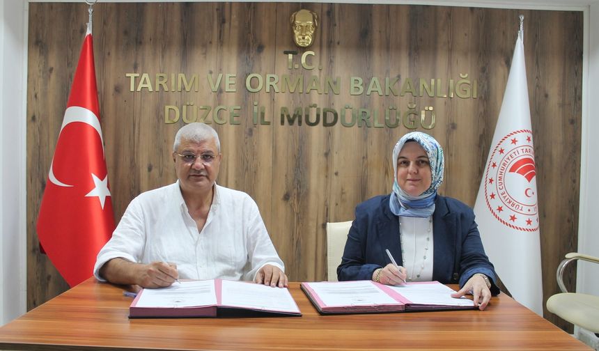 Kırsal kalkınmaya büyük destek