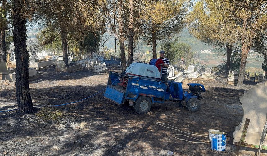 Alaplı'da ormanlık alanda çıkan yangın kontrol altına alındı