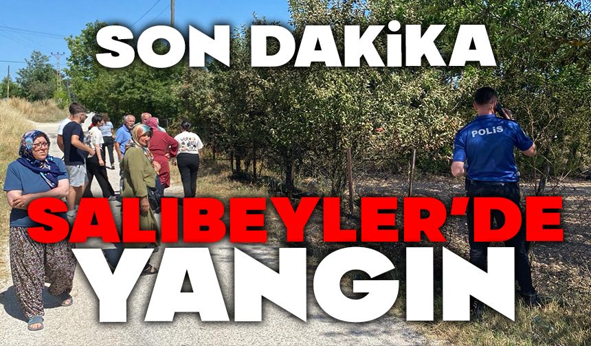 Bolu’da evlerin arasında anız yangını