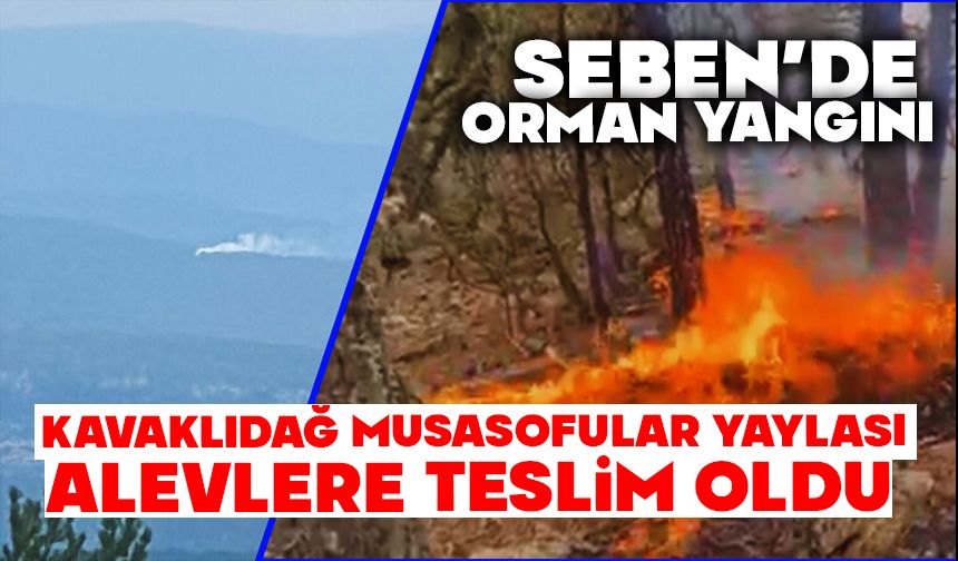 Seben’de orman yangını