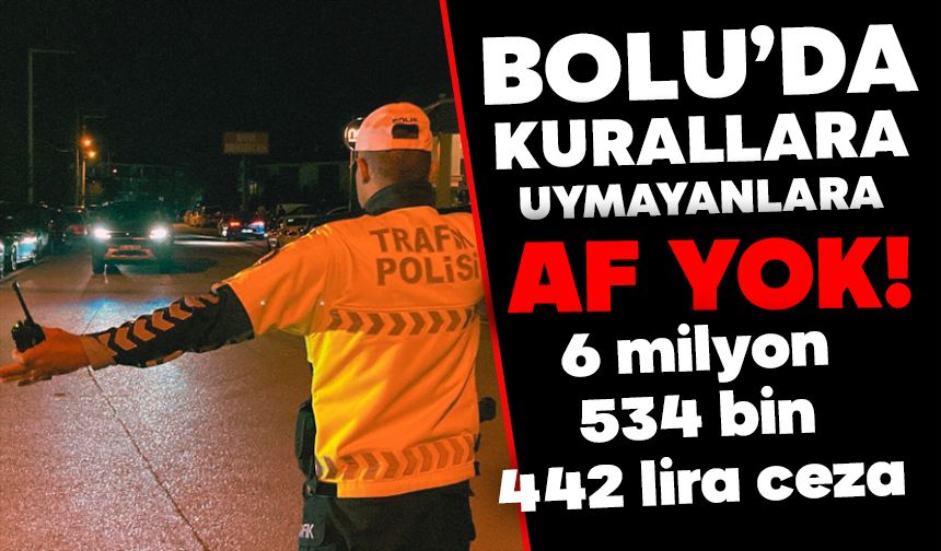 Bolu'da kurala uymayana af yok: 6 milyon 534 bin 442 lira ceza