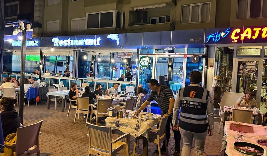 Zonguldak Defterdarlığından mekanlara denetim