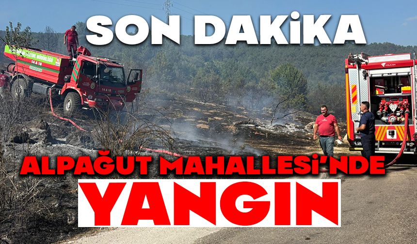 Alpağut Mahallesi’nde Yangın!