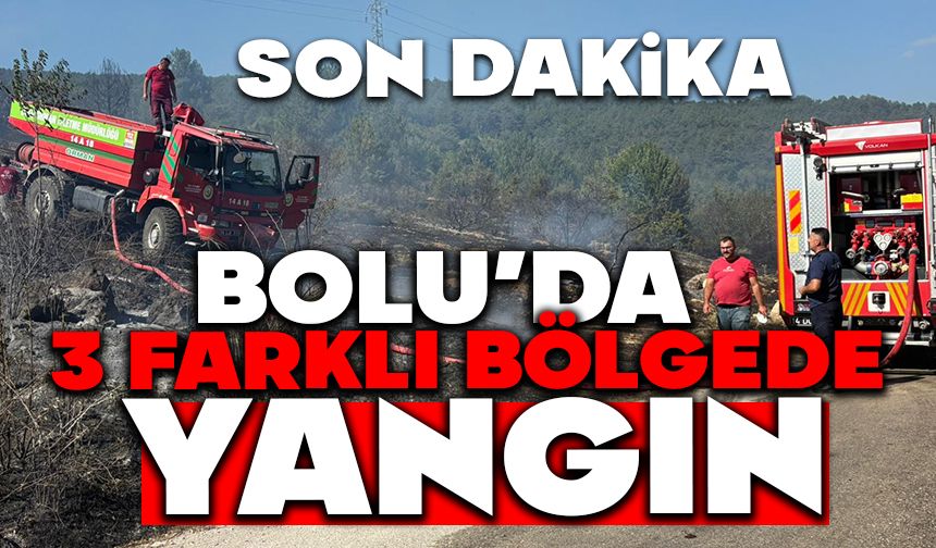 BOLU'DA 3 FARKLI YERDE YANGIN