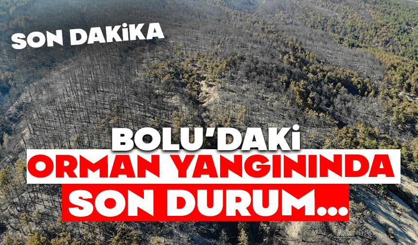 Bolu'da orman yangınında son durum