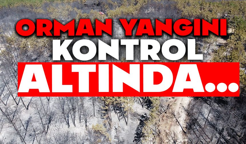 Bolu’daki orman yangını tamamen kontrol altına alındı