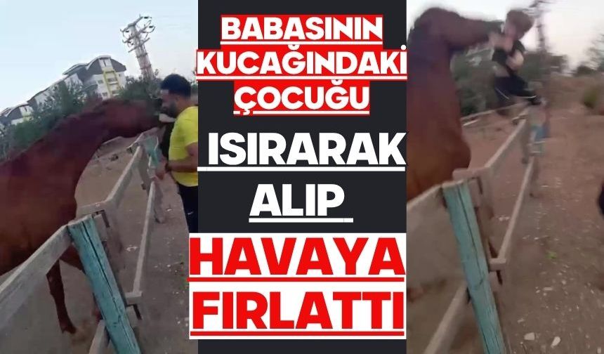 Babasının kucağındaki çocuğu ısırarak alıp havaya fırlattı
