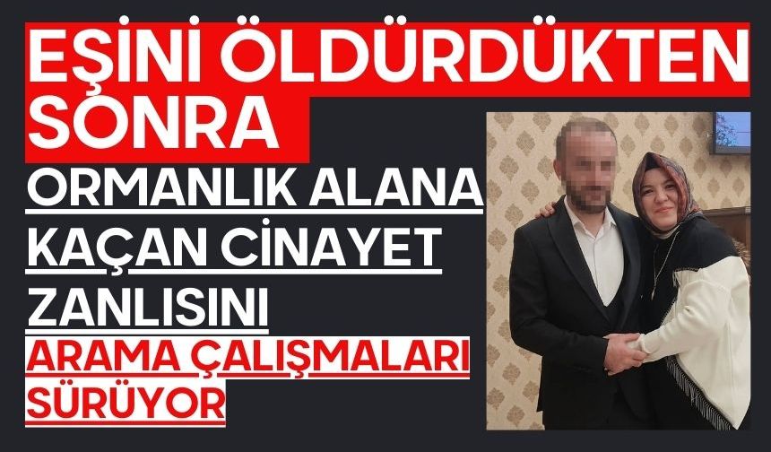 Eşini öldürdükten sonra ormanlık alana kaçan cinayeti zanlısını arama çalışmaları sürüyor