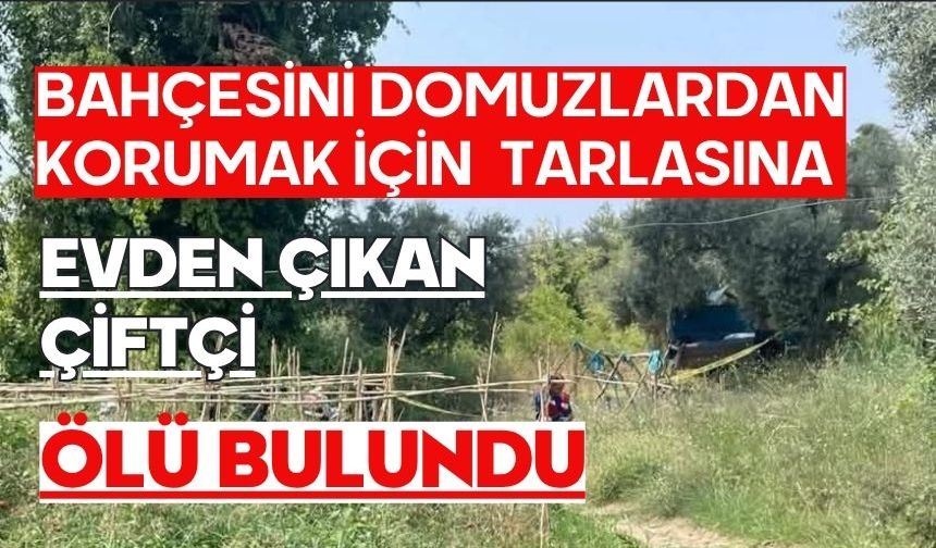 Bahçesini domuzlardan korumak için evden çıkan çiftçi tarlasına ölü bulundu