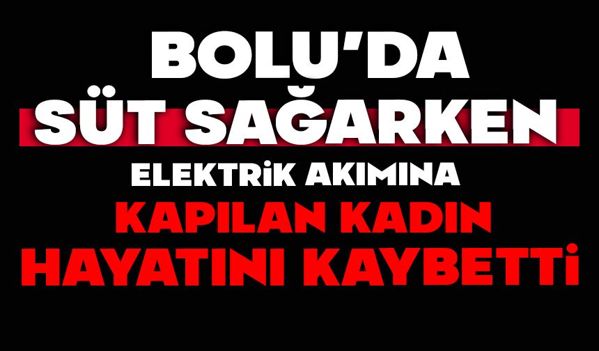 Süt sağarken elektrik akımına kapılan kadın hayatını kaybetti