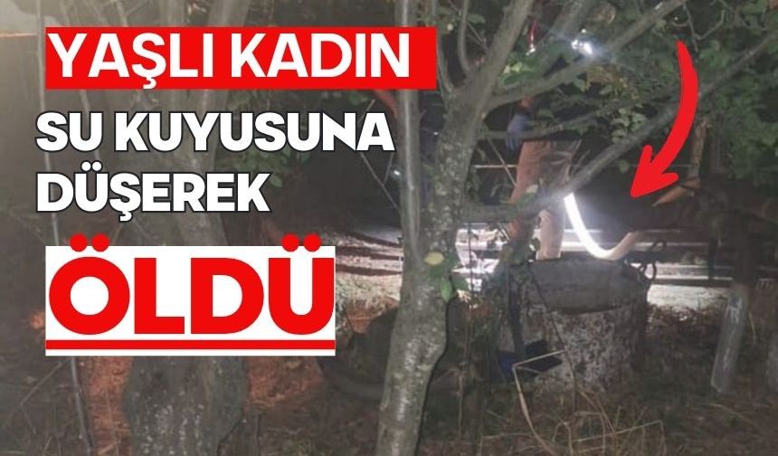 Yaşlı kadın su kuyusuna düşerek öldü