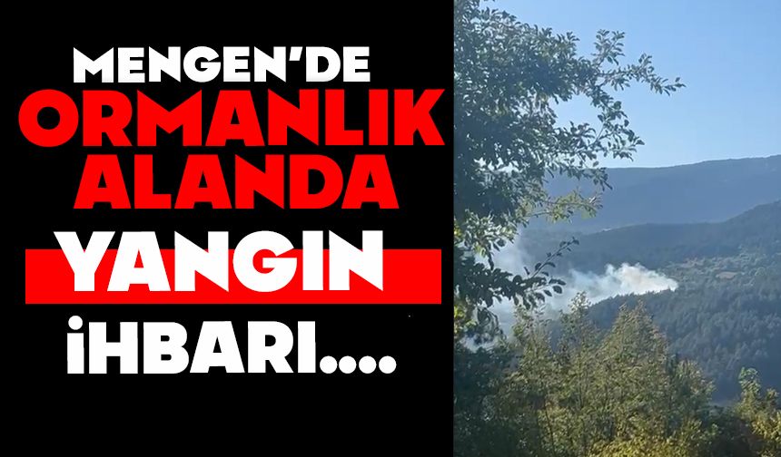 Mengen’de Ormanlık Alanda Yangın İhbarı