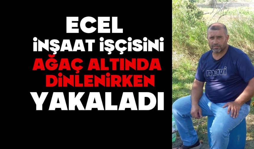 Ecel inşaat işçisini ağaç altında dinlenirken yakaladı