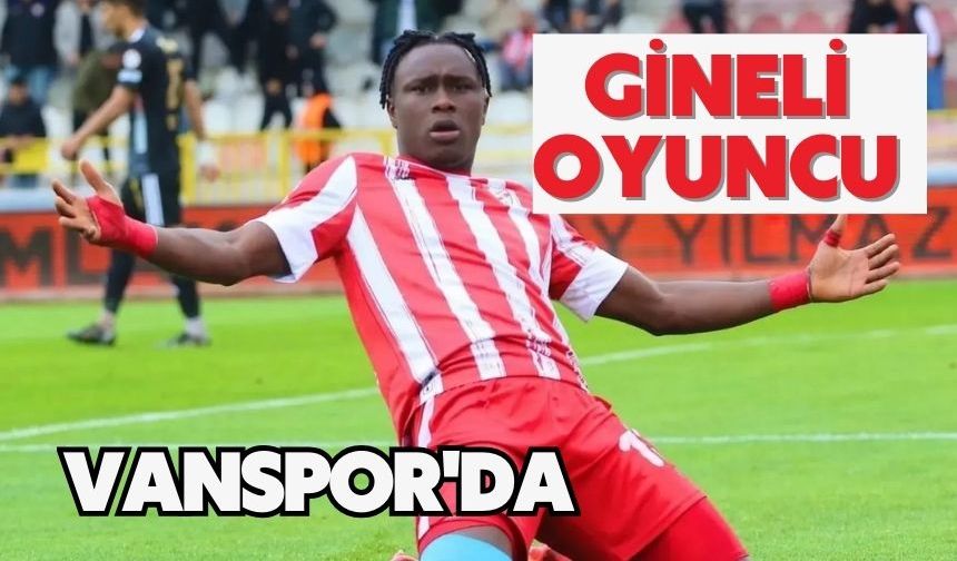 Gineli oyuncu Vanspor'da