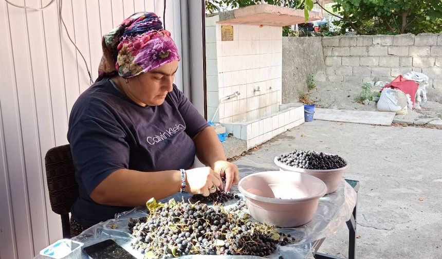 Devrek'te üretilen aronya meyve suyu büyük ilgi görüyor