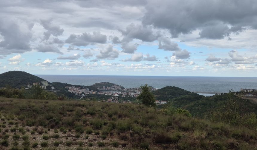 Amasra'da denizin rengi değişti