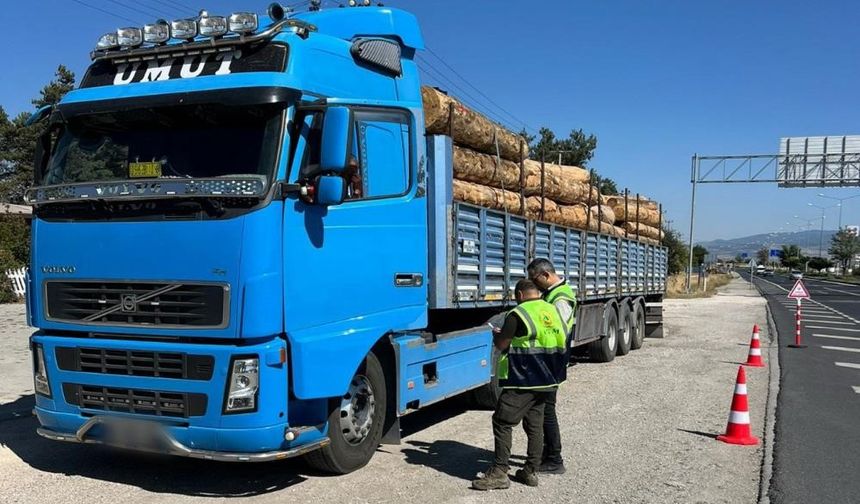 Düzce'den 9 bin 967,5 ton orman ürünü ihraç edildi
