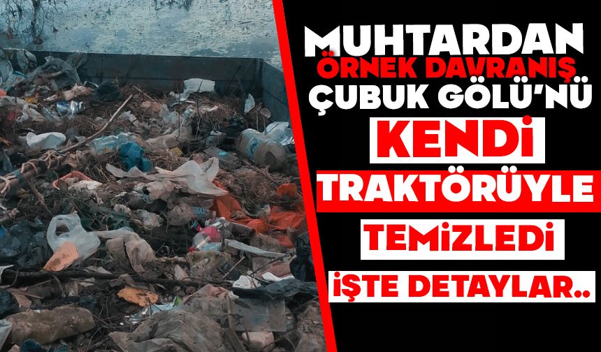 Muhtardan örnek davranış: Çubuk Gölü'nü kendi traktörüyle temizledi