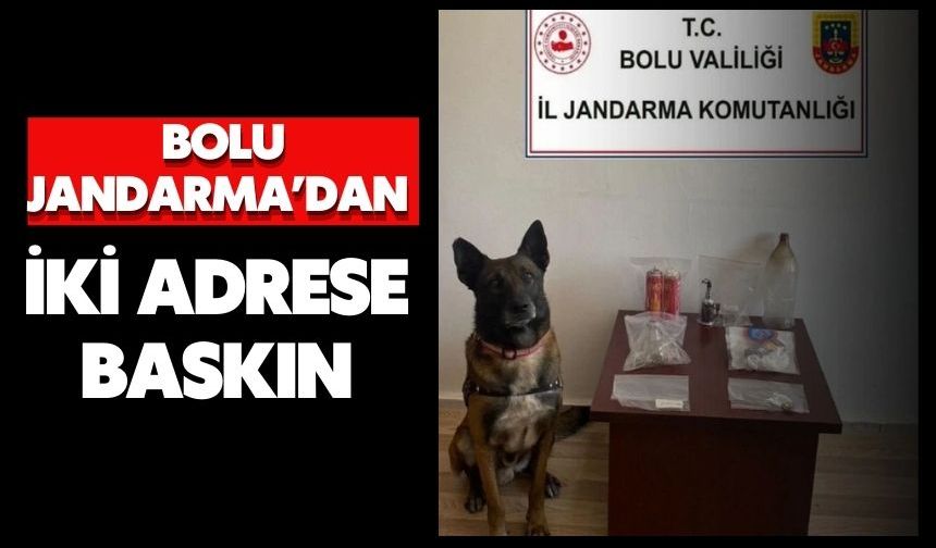Bolu Jandarma’dan iki adrese baskın