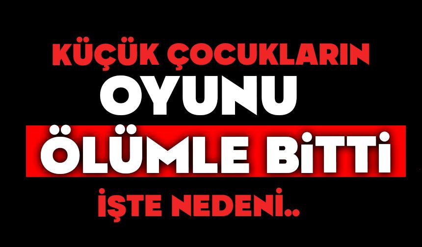 Küçük çocukların oyunu ölümle bitti
