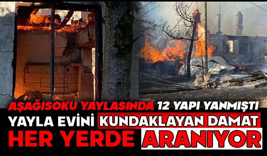 YAYLA EVİNİ KUNDAKLAYAN DAMAT HERYERDE ARANIYOR