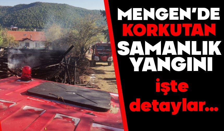 Mengen’de Korkutan Samanlık Yangını