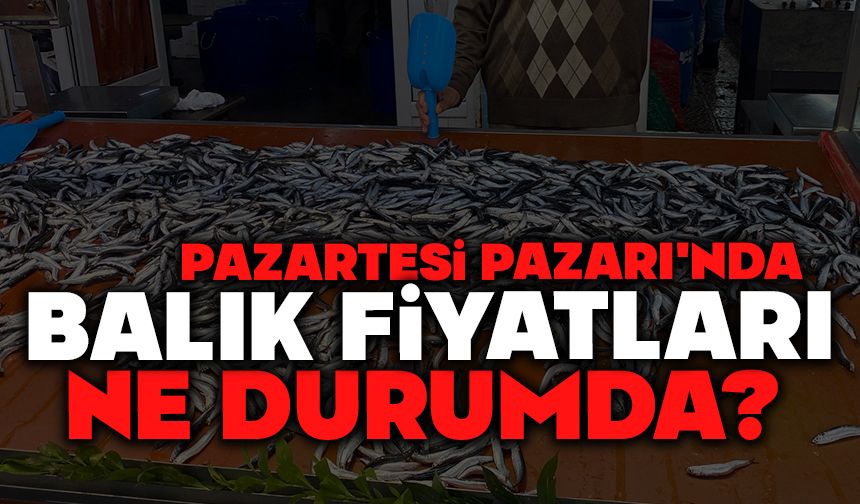 Pazartesi Pazarı'nda Balık Fiyatları Ne Durumda?