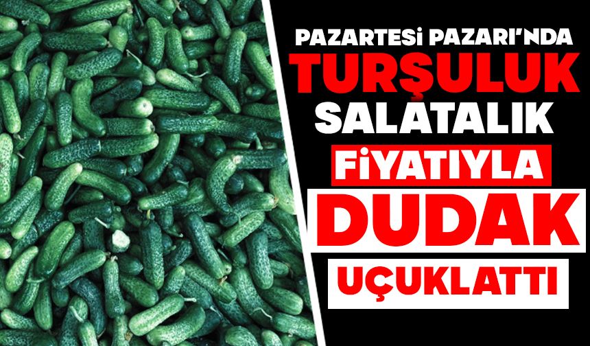 Pazartesi Pazarı’nda Turşuluk Salatalık Fiyatıyla Dudak Uçuklattı