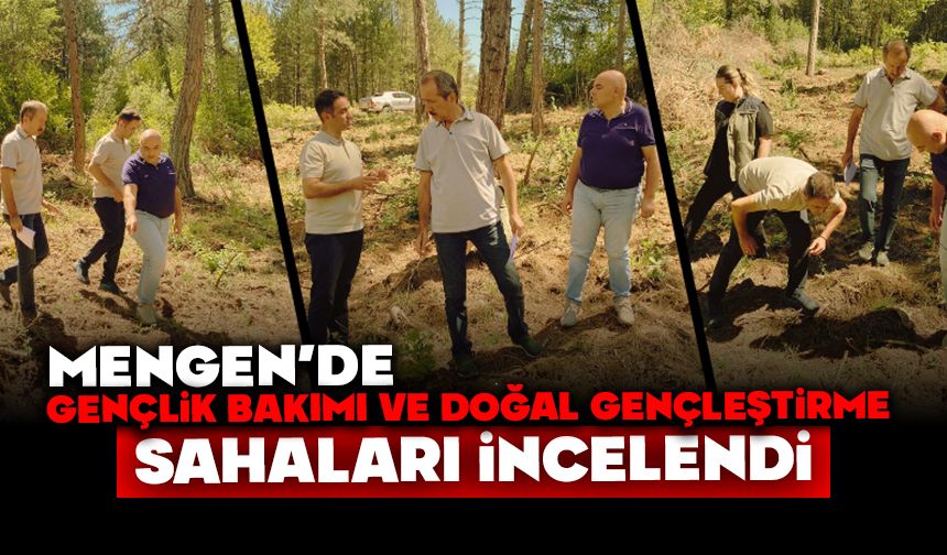 Mengen’de gençlik bakımı ve doğal gençleştirme sahaları incelendi