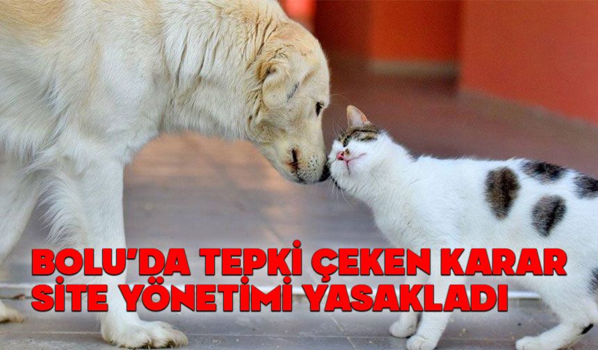 Bolu’da site yönetiminden tepki çeken karar