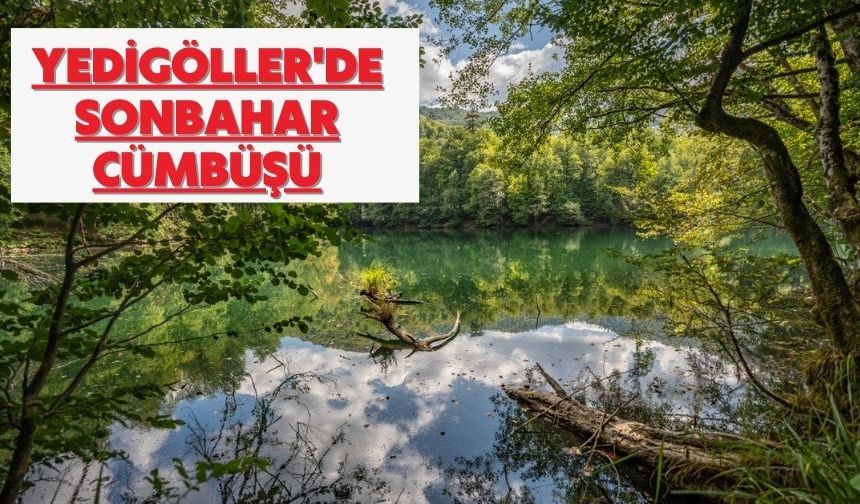 Yedigöller'de sonbahar cümbüşü