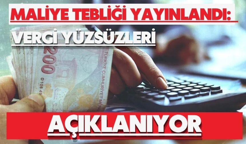 Maliye tebliği yayınlandı: Vergi yüzsüzleri açıklanıyor