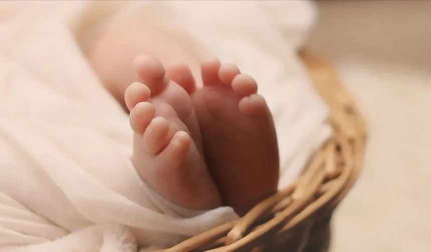 Sağlıklı gelişim için ilk adımlar: Yeni doğan uykusu ve beslenmesi