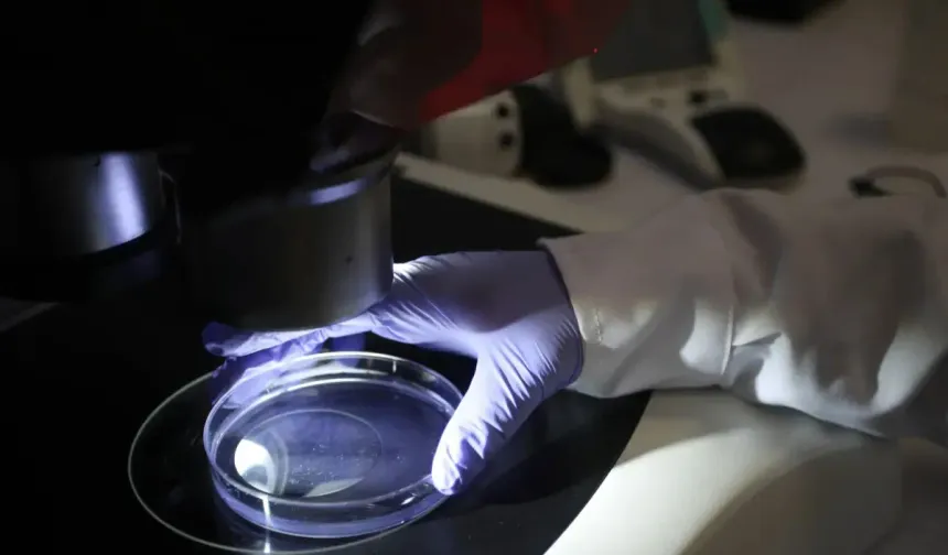 Yapay zeka ile bakterileri öldüren virüs geliştirildi