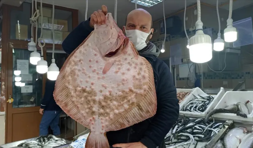 Sağlığa binbir faydaları var: Kasım ayı bitmeden bu balıkları tüketin