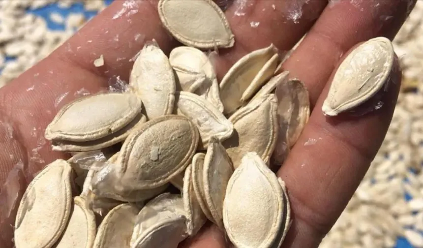 Tüketmeyen pişman: Demir eksikliğine düşman 8 gıda