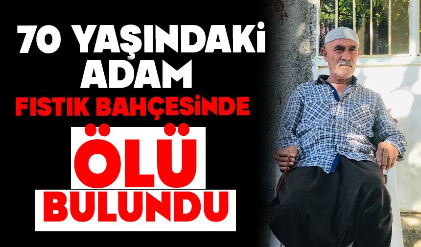 70 Yaşındaki Adam Fıstık Bahçesinde Ölü Bulundu