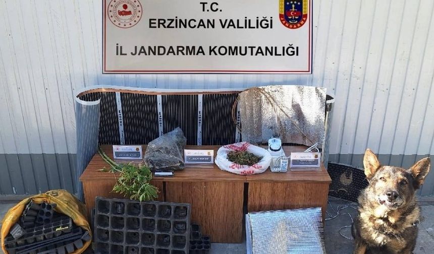 Erzincan’da eylül ayında jandarma mıntıkasındaki suç olaylarının yüzde 98,6’ı aydınlatıldı
