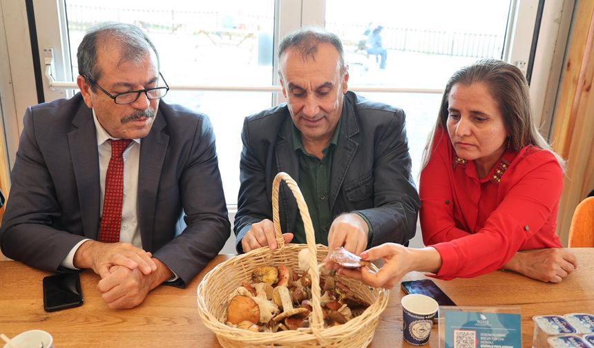 Mantarların gizemli dünyası anlatıldı