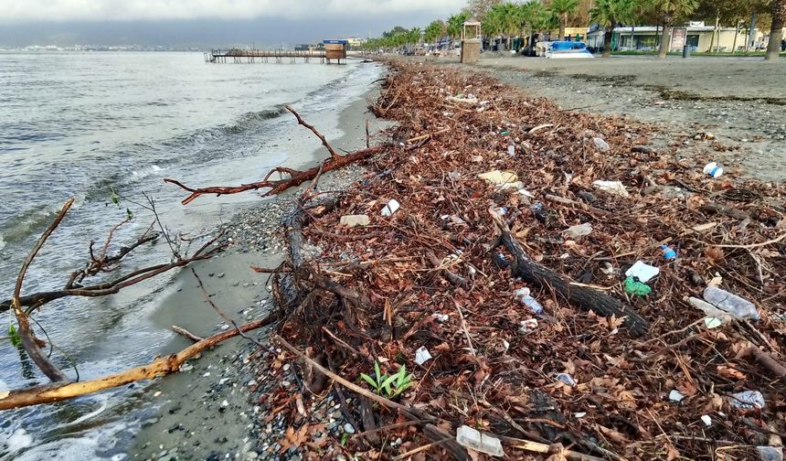 Edremit'te şiddetli lodos, sahili ağaç dalları ve yosunla doldurdu