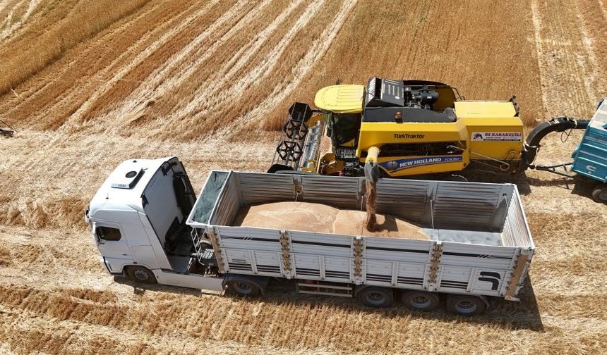 İthalat açıklaması bile arpanın ateşini düşürmedi