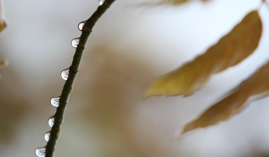 Bursa'da 2 günlük yağışlar ekim ayını kurtardı